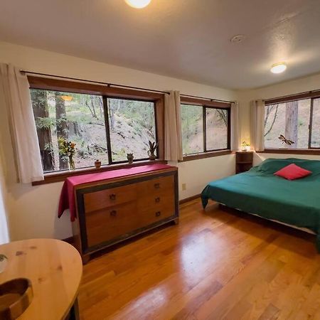 Appartement Little House In The Redwoods With A Hot Tub! à Garberville Extérieur photo
