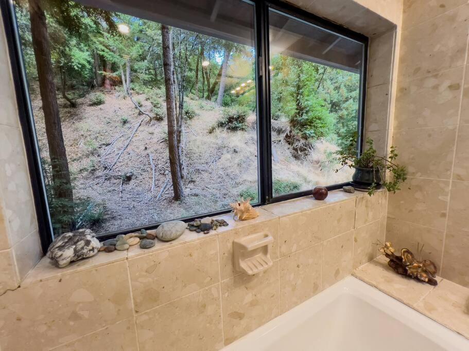 Appartement Little House In The Redwoods With A Hot Tub! à Garberville Extérieur photo