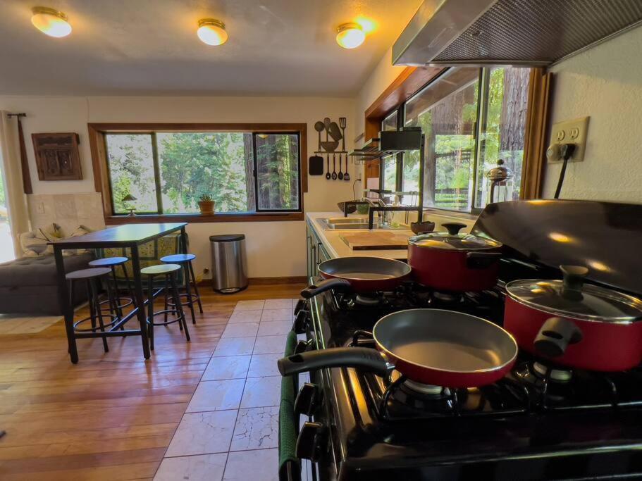 Appartement Little House In The Redwoods With A Hot Tub! à Garberville Extérieur photo